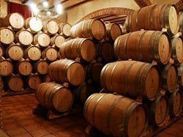 Vingården Bodegas Mendoza, sett fra campingplassen