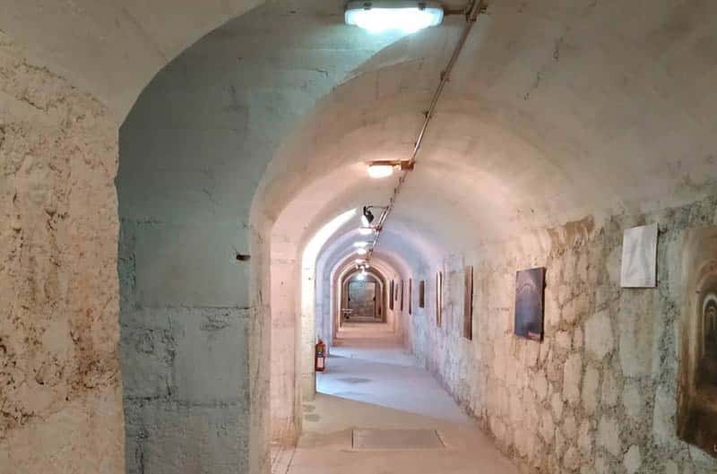 Refugio cervantes