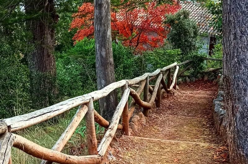 Sendero carrasqueta