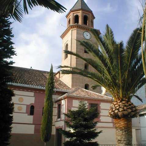 Torre de la iglesia de Padul entre palmeras