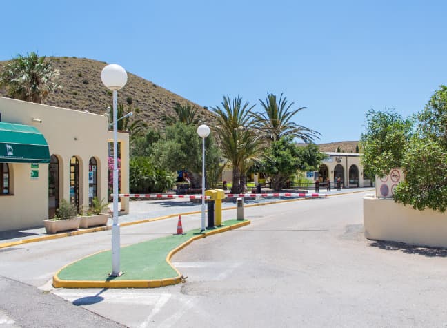 Ingang van Camping Los Escullos met palmbomen, in het Natuurpark Cabo de Gata-Níjar