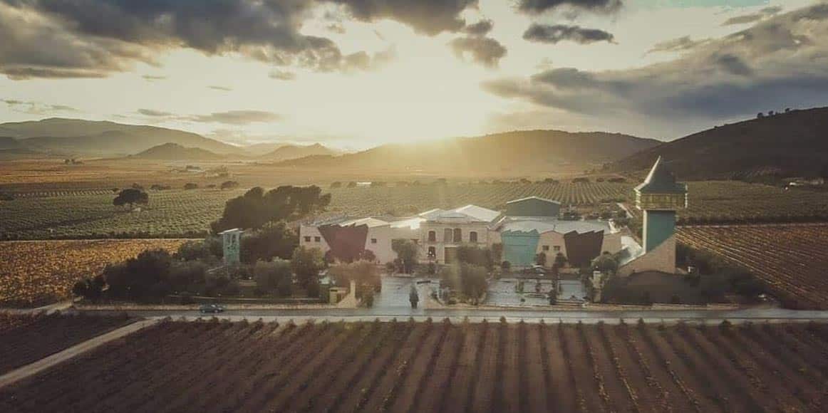 Francisco gómez wineries of alicante