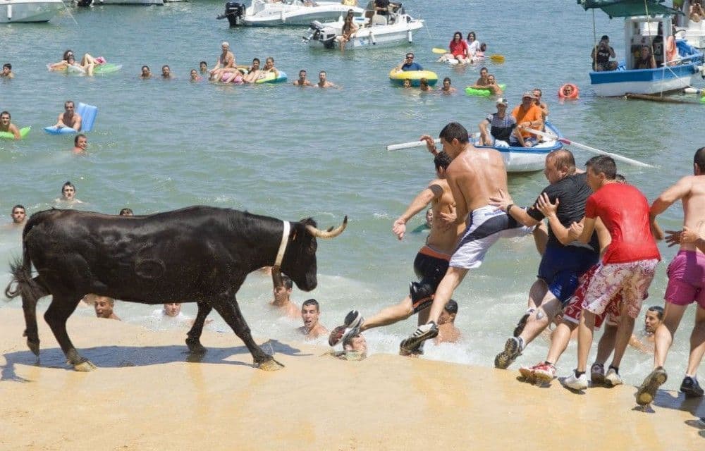 Bous a la mar, beliebte feste