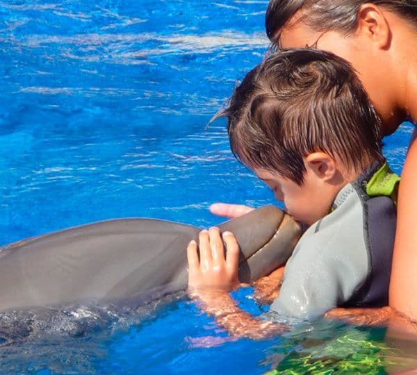 Fundación mundomar - delfinoterapia