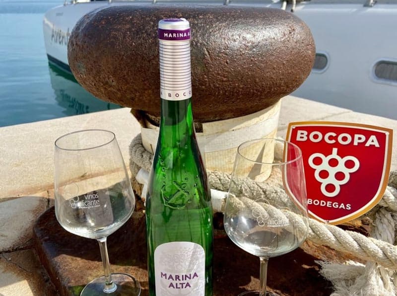 Marina alta, one of the best wines from alicante, by bocopa wineries