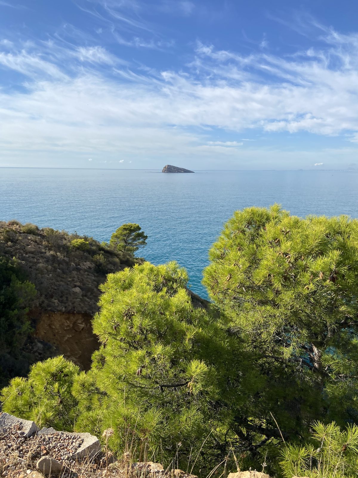 Vista de la Isla de Benidorm entre pinos