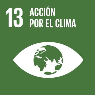 Ziele Für Nachhaltige Entwicklung (Sdg) Und Agenda 2030 Ziel 13 der sdgs, klimaschutz