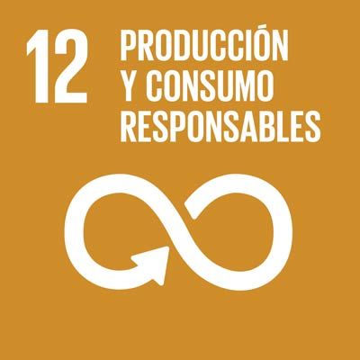 Objetivo 12 de los ods de la onu, producción y consumo responsables