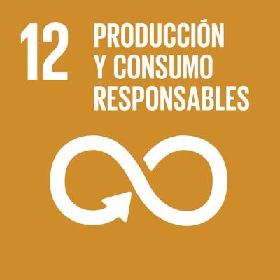 Ziele Für Nachhaltige Entwicklung (Sdg) Und Agenda 2030 Ziel 12 der un-sdgs, verantwortungsvolle produktion und verantwortungsbewusster verbrauch