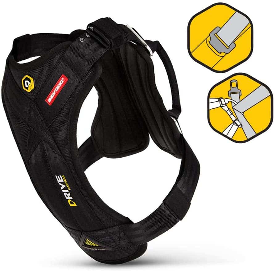 Vacaciones Con Tu Perro Cinturón de seguridad para perros de viaje en coche