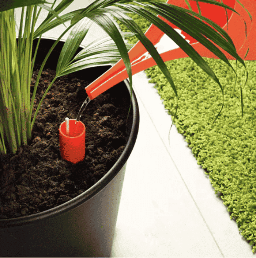 How to use a self-watering planter