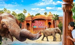 Descuentos para familia numerosa en terra natura benidorm