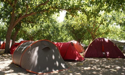 Acampada Libre En Alicante (Benidorm) | Tu Con Wifi Gratis
