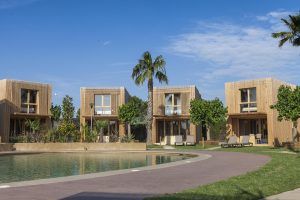 Best campsites in Spain - La Ballena Alegre