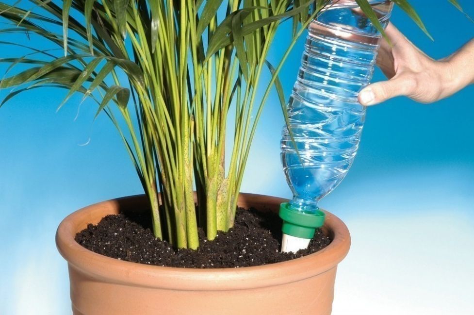 Kegels om onderweg planten water te geven