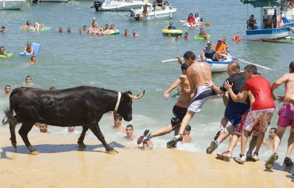 Bous a la mar, feste popolari