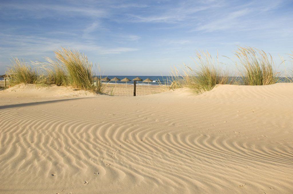 Dunas en la costa del pueblo de guardamar del segura, en alicante