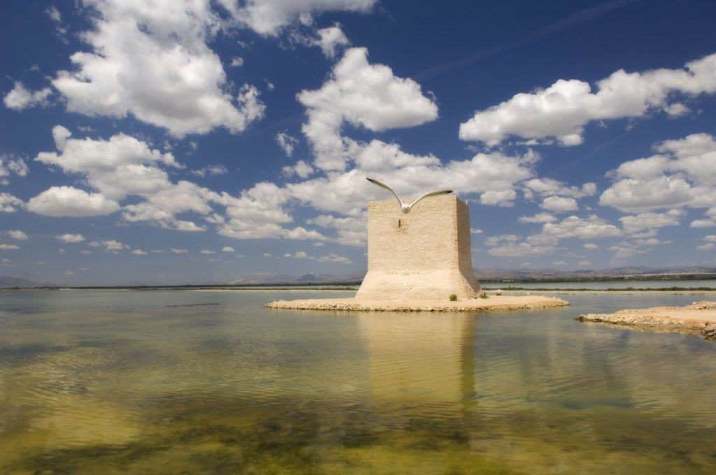 Salinas de santa pola, een kustplaats in alicante