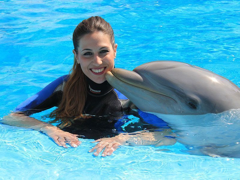 Swimming with dolphins in mundomar benidorm