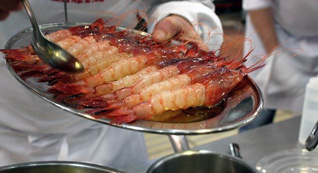 La célèbre crevette rouge de dénia