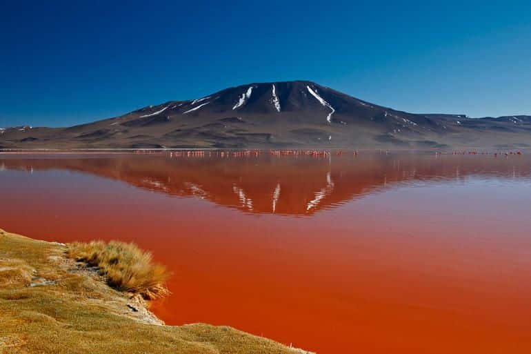 Die Rosa Lagune Von Torrevieja Wird Sie Begeistern Lago natron tanzania