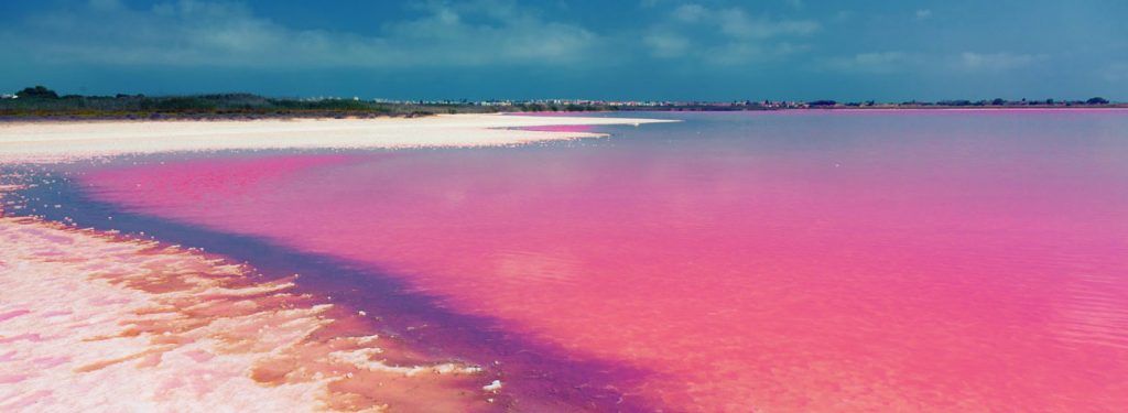 Pink lagoon of torrevieja