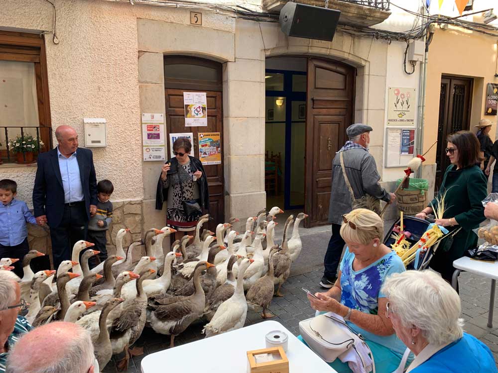 Ocas op de markt van finestrat