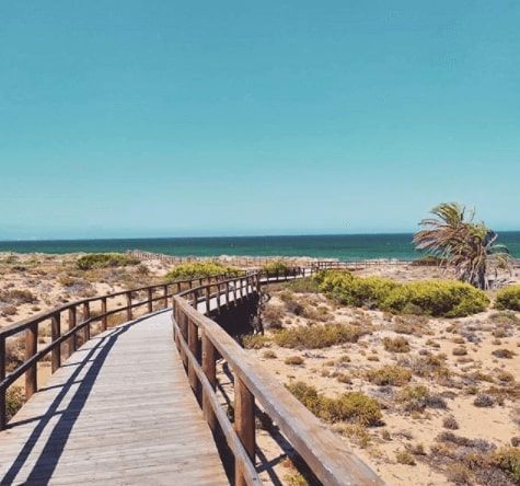 De 20 Beste Nudiststrendene I Alicante Carabassi-stranden i elche - alicante