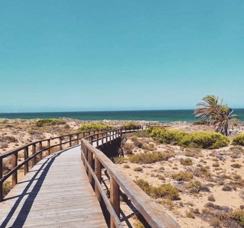 Carabassi beach in elche - alicante