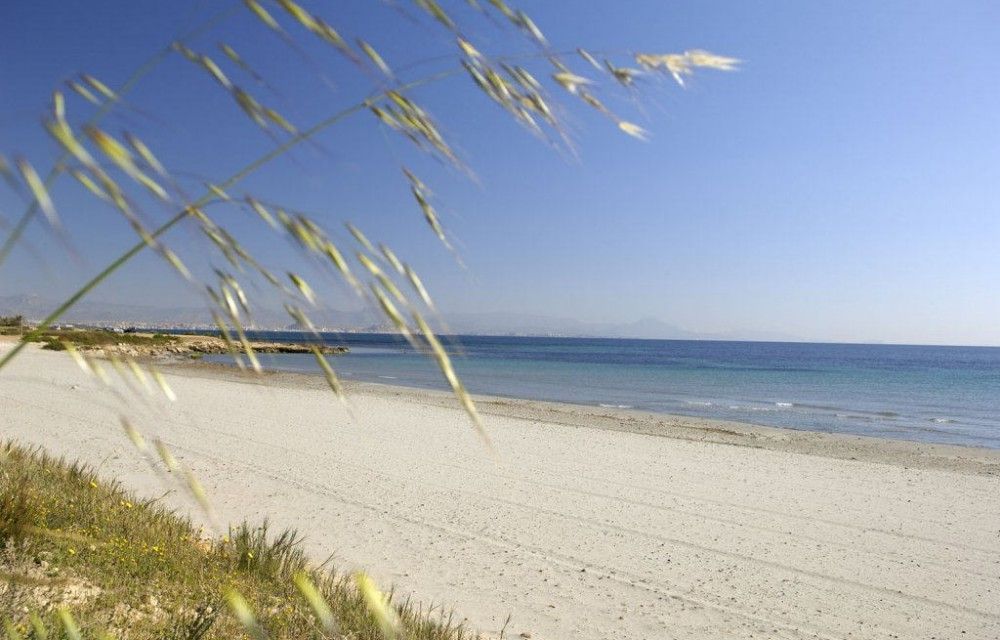 Spiaggia a elche el carabassí