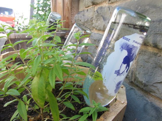 Comment Arroser Les Plantes En Vacances Sistema riego plantas artesanal con botella