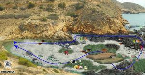 Snorkeling routes tio ximo cove benidorm