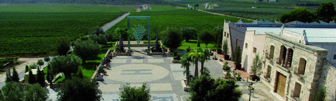 Vineyards of a winery in alicante, owned by the francisco gómez family.