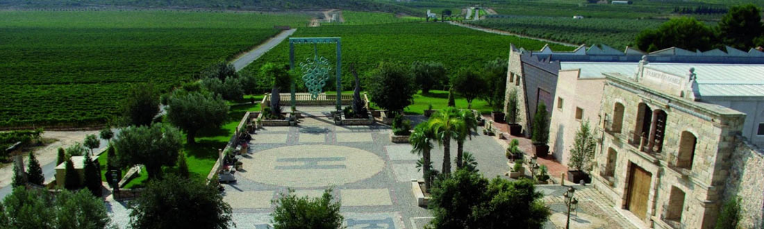 Wijngaarden van een bodega in alicante, eigendom van de familie francisco gómez.