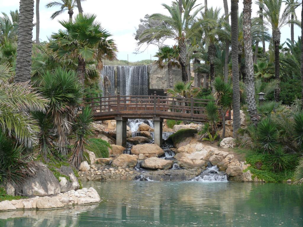 Parque palmeral de alicante, con puentes y merenderos