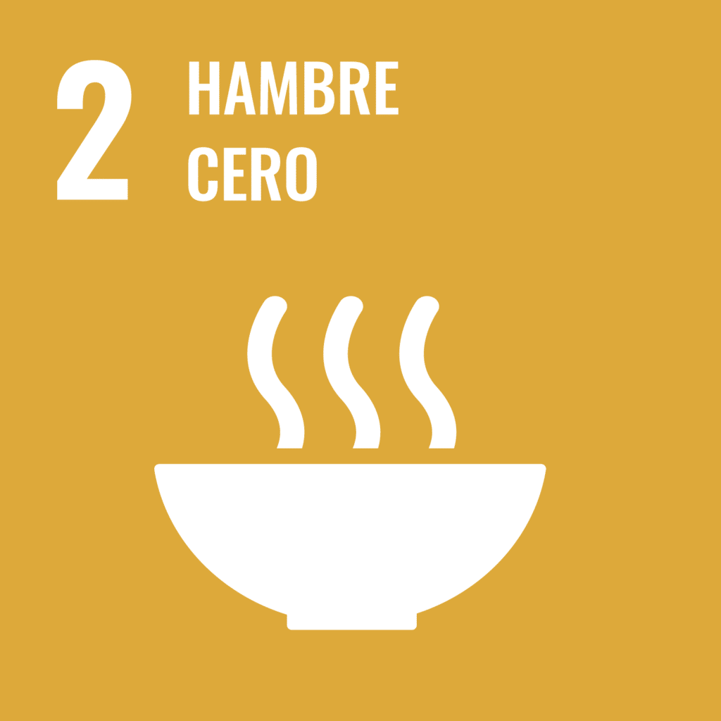 2 hambre cero 2