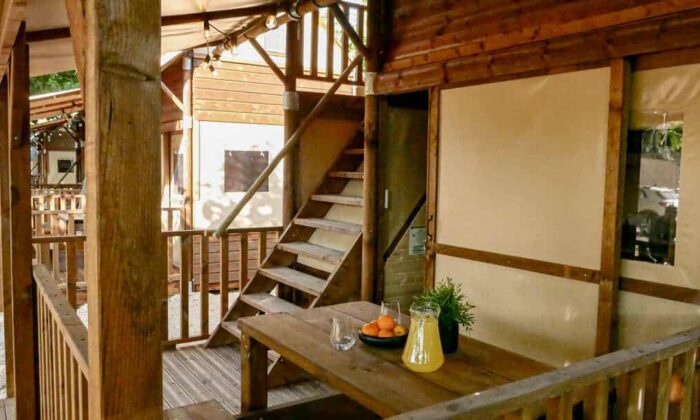 Terraza-Safari-Little Terraza safari little